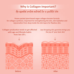 Why-Is-Collagen-Important